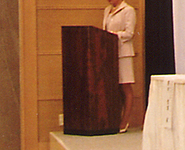 �X�����^�C�v������