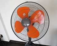 �O�r�^��@