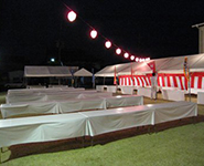 �r�j�[���V�[�g